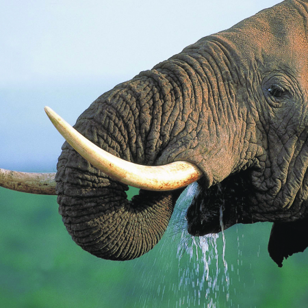 Tsitsikamma-Nationalpark